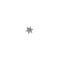 Load image into Gallery viewer, Pollen Flower Sterling Silver Stud
