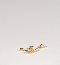 Load image into Gallery viewer, Starflower Gold-Plated Stud Earring With Screw Backing
