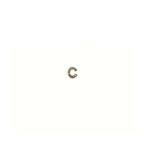 Load image into Gallery viewer, Alphabet St. Zirconia Gold-Plated Stud Earring With Screw Backing
