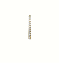Load image into Gallery viewer, Penny Crystal 18Kt Gold-Plated Rectangle Hoop Earring
