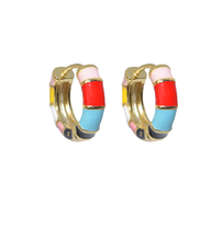 Load image into Gallery viewer, Festival Coloured Enamel Hoop Earrings

