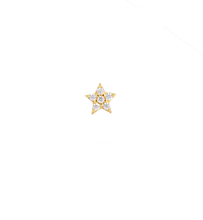 Load image into Gallery viewer, Star 18Kt Gold-Plated Ball Back Stud
