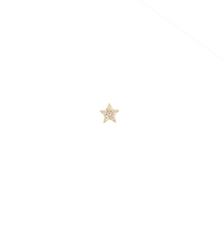 Load image into Gallery viewer, Star 18Kt Gold-Plated Ball Back Stud
